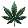 cbd boxes